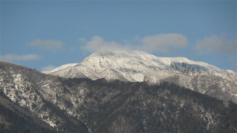 Alpenhorn Holiday Units - New South Wales Tourism  5