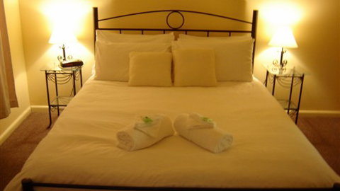 Snowstream Riverside Apartments - New South Wales Tourism  3