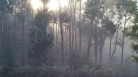 Carinya Park - New South Wales Tourism  3