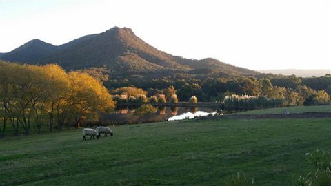 Cathedral Valley Farm - New South Wales Tourism  2