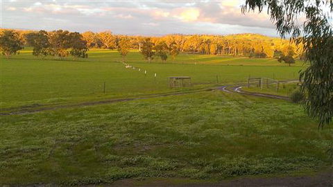 Rotherlea Lodge - New South Wales Tourism  4