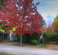Bright Caravan Park