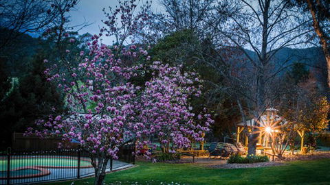 Bright Mystic Valley Holiday Units - New South Wales Tourism  2