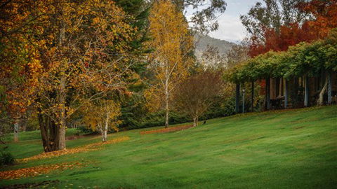 Bright Mystic Valley Holiday Units - New South Wales Tourism  7