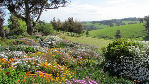 Loves Lane Cottages - New South Wales Tourism  0