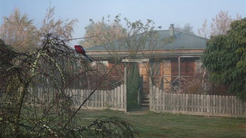 Sanctuary Park Cottages - New South Wales Tourism  1