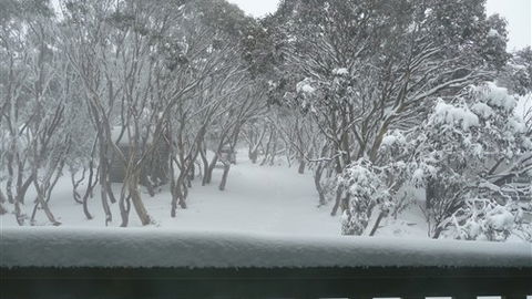 Leeton Lodge - New South Wales Tourism  6