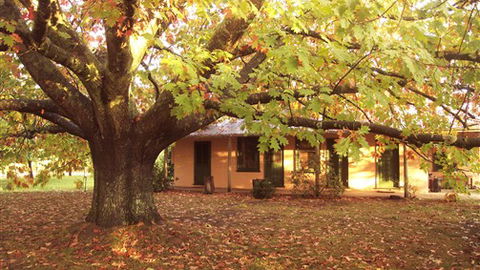 Delatite Station - New South Wales Tourism  3