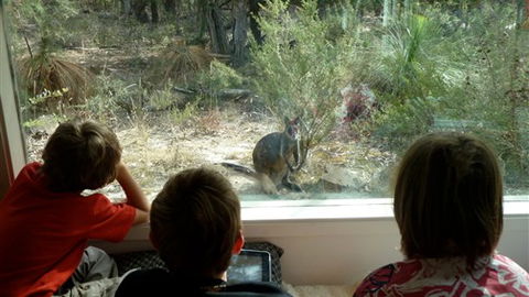 Aquila Eco Lodges - New South Wales Tourism  4