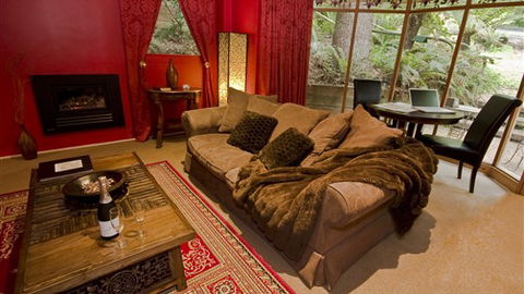 Linden Gardens Rainforest Retreat - New South Wales Tourism  5