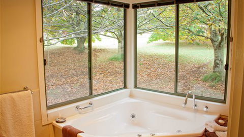 Chestnut Glade - New South Wales Tourism  3