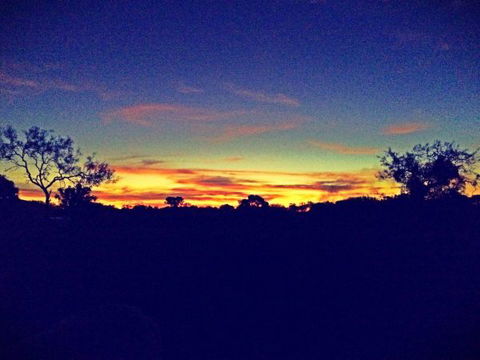 Barkly Homestead - New South Wales Tourism  7
