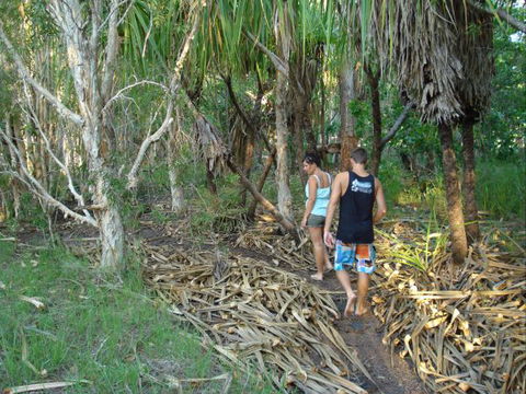 Berry Creek Bush Retreat - New South Wales Tourism  7