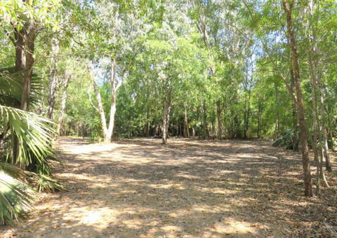 Bitter Springs Cabins And Camping - New South Wales Tourism  5