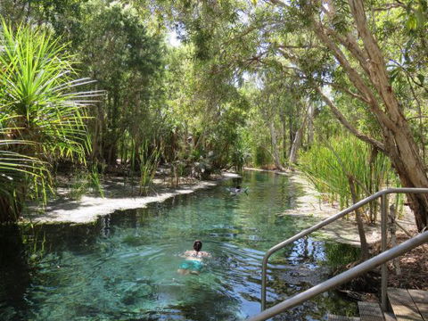 Bitter Springs Cabins And Camping - New South Wales Tourism  6