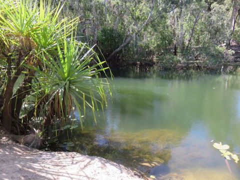 Bitter Springs Cabins And Camping - New South Wales Tourism  7