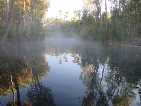 Bitter Springs Cabins And Camping - New South Wales Tourism  8