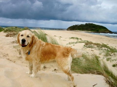 Castaway Holiday Units - New South Wales Tourism  1