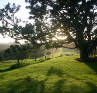Kilfeacle Farm Cottage - New South Wales Tourism 