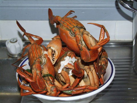 King Ash Bay Lodge - New South Wales Tourism  0