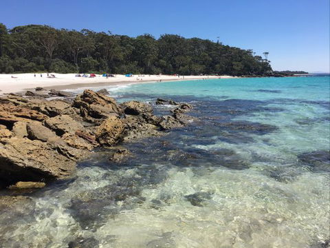 Laguna Lodge Holiday Units - New South Wales Tourism  1