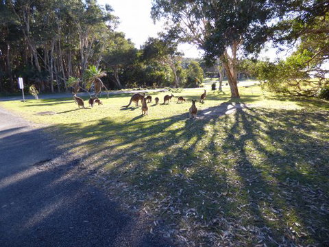 Little Bay Cottage - New South Wales Tourism  1