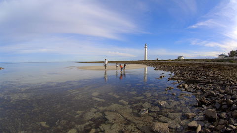 Point Lowly Lighthouse Cottages - New South Wales Tourism  4