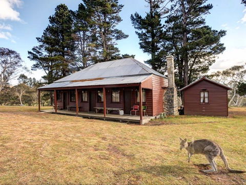 The Pines Cottage - New South Wales Tourism  0