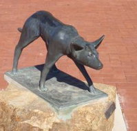 The Ardlethan Kelpie Caravan Park - New South Wales Tourism 