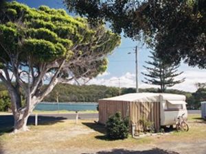 Wooli Camping & Caravan Park - New South Wales Tourism  0