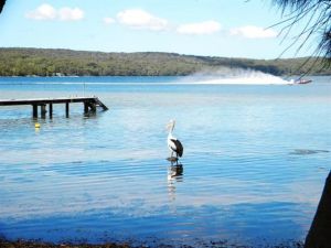 Dungowan Waterfront  Accommodation - New South Wales Tourism  0