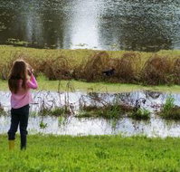 Wilga Hotel - New South Wales Tourism 