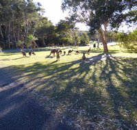 Little Bay Cottage - New South Wales Tourism 