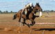 Tullamore Showground - thumb 0