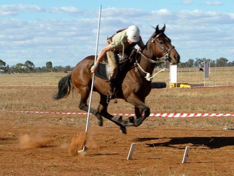Tullamore Showground - New South Wales Tourism  0