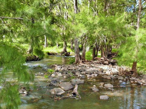 Cockadilly Escape - New South Wales Tourism  0