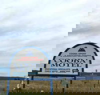 Cooba Holiday Motel - New South Wales Tourism 