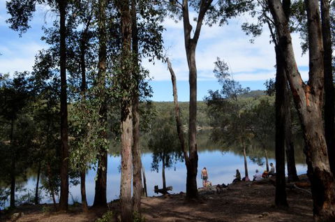 Moosewood - New South Wales Tourism  2
