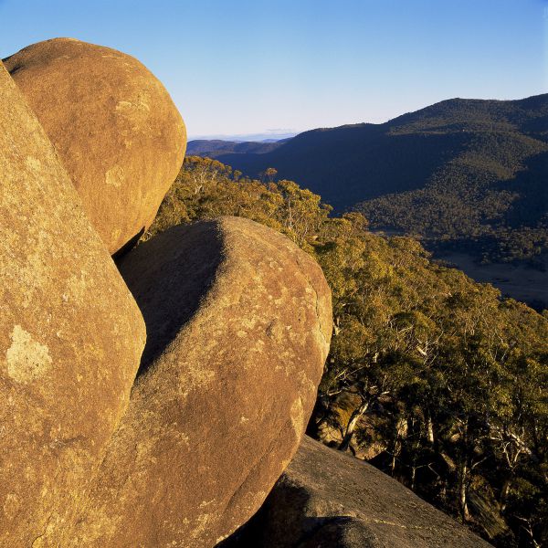 Weston ACT New South Wales Tourism 