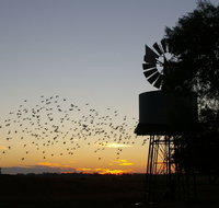 Nevertire Hotel - New South Wales Tourism 