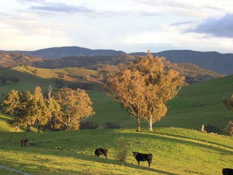 Old Bara Farmstay - New South Wales Tourism  7