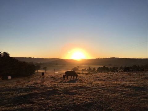 Old Bara Farmstay - New South Wales Tourism  8