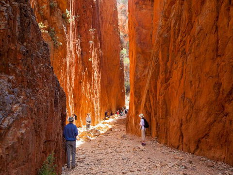 Standley Chasm Angkerle Camping - New South Wales Tourism  4