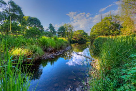 Terania Green Boutique Eco Cottages - New South Wales Tourism  3