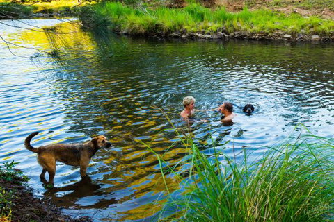 Terania Green Boutique Eco Cottages - New South Wales Tourism  4