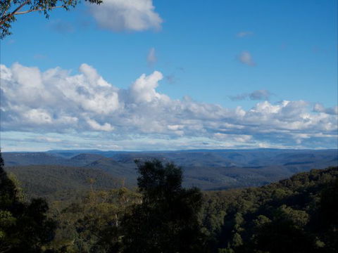 The Elk - New South Wales Tourism  2
