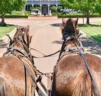 Hunter Valley Horses - New South Wales Tourism 