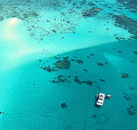 Cairns Premier Reef and Island Tours - Ocean Free  Ocean Freedom - New South Wales Tourism 
