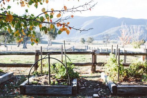 Alpine Edge Accommodation - New South Wales Tourism  5