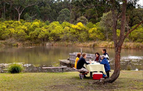 Eagleview Resort - New South Wales Tourism  4